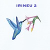 Irineu 2, 2016