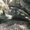 Wonderful - Single, 2020