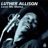 Luther Allison - The Sky is Crying