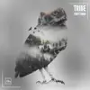 Tribe - Single album lyrics, reviews, download