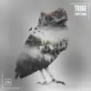 Stream & download Tribe - Single