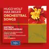 Wolf & Reger: Orchestral Lieder album lyrics, reviews, download