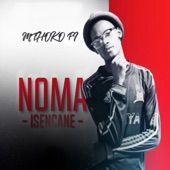 Noma Isencane artwork