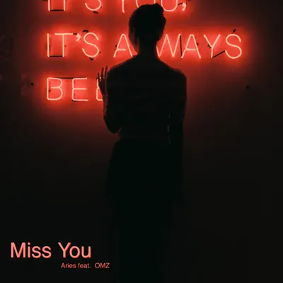 Miss You (feat. Omz) - Single - Aries