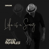 Can't Get Enough by David Morales