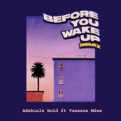 Before You Wake Up (feat. Vanessa Mdee) [Remix] artwork