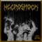 NecroShock - Grim Death lyrics