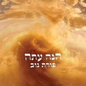 התשמע קולי artwork