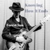 Knowing How It Ends - Single