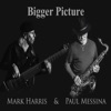 Bigger Picture - Single