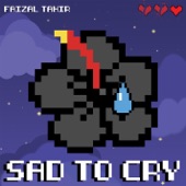 Sad to Cry artwork