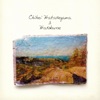Chihei Hatakeyama - Vibrant color