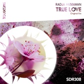 True Love artwork