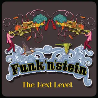 Album herunterladen Funk'n'stein - The Next Level