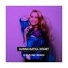 Hanna Batka - Komet