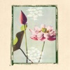Big Deep Sigh - EP