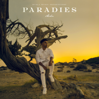 Mika - Paradies artwork