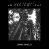 Voices in My Head - Single album lyrics, reviews, download