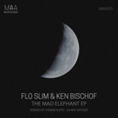 The Mad Elephant (Thomas Klipps Remix) artwork