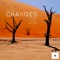 Changes (Juliano Gomez Remix) artwork