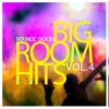 Soundz Good Big Room Hits Vol.4