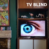 Theatre Royal - TV Blind