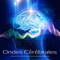 Various Artists - Ondes Cérébrales – Musique d'ambiance sur le rythme cérébral avec ondes alpha, theta et delta artwork