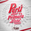 Perú, Amor a Primera Vista (feat. You Salsa, Combinación de la Habana, Kate Candela, Ray Bg, Orquesta Bembe, Aymi Gutiérrez, Cielo Torres, Farik Gripa, Alvaro Rod, Cesar Vega, Son Tentacion, Tito Manrique & Arturo Miranda) - Single