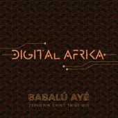 Babalú Ayé (Zepherin Saint Tribe Mix) artwork