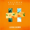 Hallman Remixes - EP