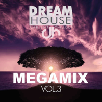 Verschiedene Interpreten - Dream House Megamix, Vol. 3 artwork
