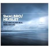 Alle mine kilder skal være hos dig - Instrumentale meditationer over kendte salmer (feat. Andreas Lund) artwork