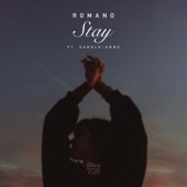 Stay (feat. Carole-Anne) artwork