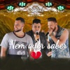 Nem Quer Saber (feat. William Ferrarini) - Single