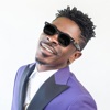 Shatta Wale - Single