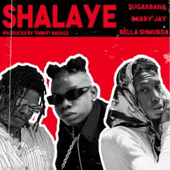 Shalaye (feat. Barry Jhay & Bella Shmurda) - Single by Sugarbana album reviews, ratings, credits