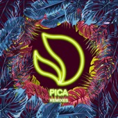 Pica (Laidback Luke Remix) artwork