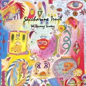 Saccharine Trust - Belonging To October