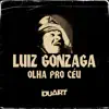 Olha Pro Céu (Duart Remix) [feat. Luiz Gonzaga] - Single album lyrics, reviews, download