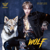 WooSung - WOLF - EP  artwork