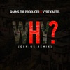 Why (feat. Vybz Kartel) - Single