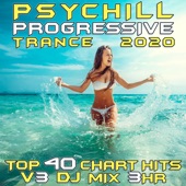 Psy Chill Progressive Trance 2020, Vol. 3 (DJ Mix 3Hr) artwork