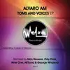 Toms and Voices album lyrics, reviews, download