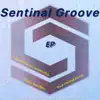 Sentinal Groove - EP album lyrics, reviews, download