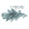 Arxe