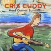 Here Comes Summer - Single