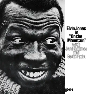 On the Mountain (Remaster) - Elvin Jones