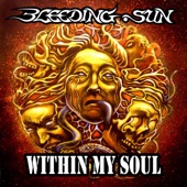 Within My Soul (Radio Edit) artwork