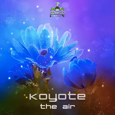 The Air - Koyote