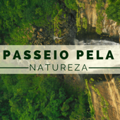 Passeio pela Natureza - 22 Canções para Limpar sua Mente, Natureza e Chuva - Sons da Natureza & Relaxamento